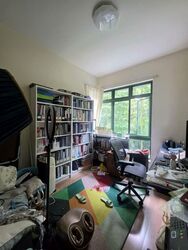 Parc Palais (D21), Condominium #539845871